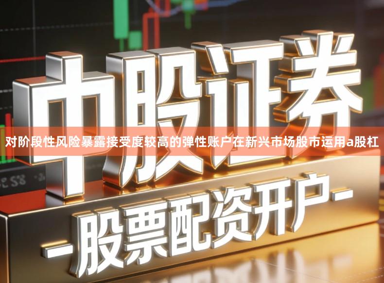 对阶段性风险暴露接受度较高的弹性账户在新兴市场股市运用a股杠