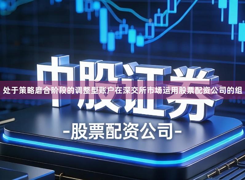 处于策略磨合阶段的调整型账户在深交所市场运用股票配资公司的组