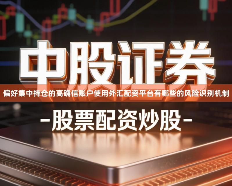 偏好集中持仓的高确信账户使用外汇配资平台有哪些的风险识别机制