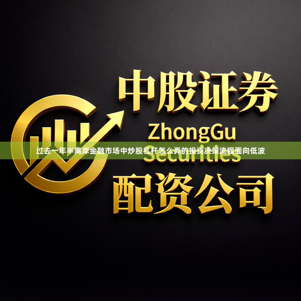 过去一年半离岸金融市场中炒股杠杆怎么弄的投资决策流程面向低波